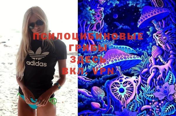 каннабис Арсеньев