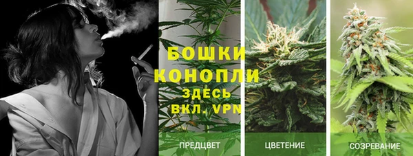 каннабис Арсеньев